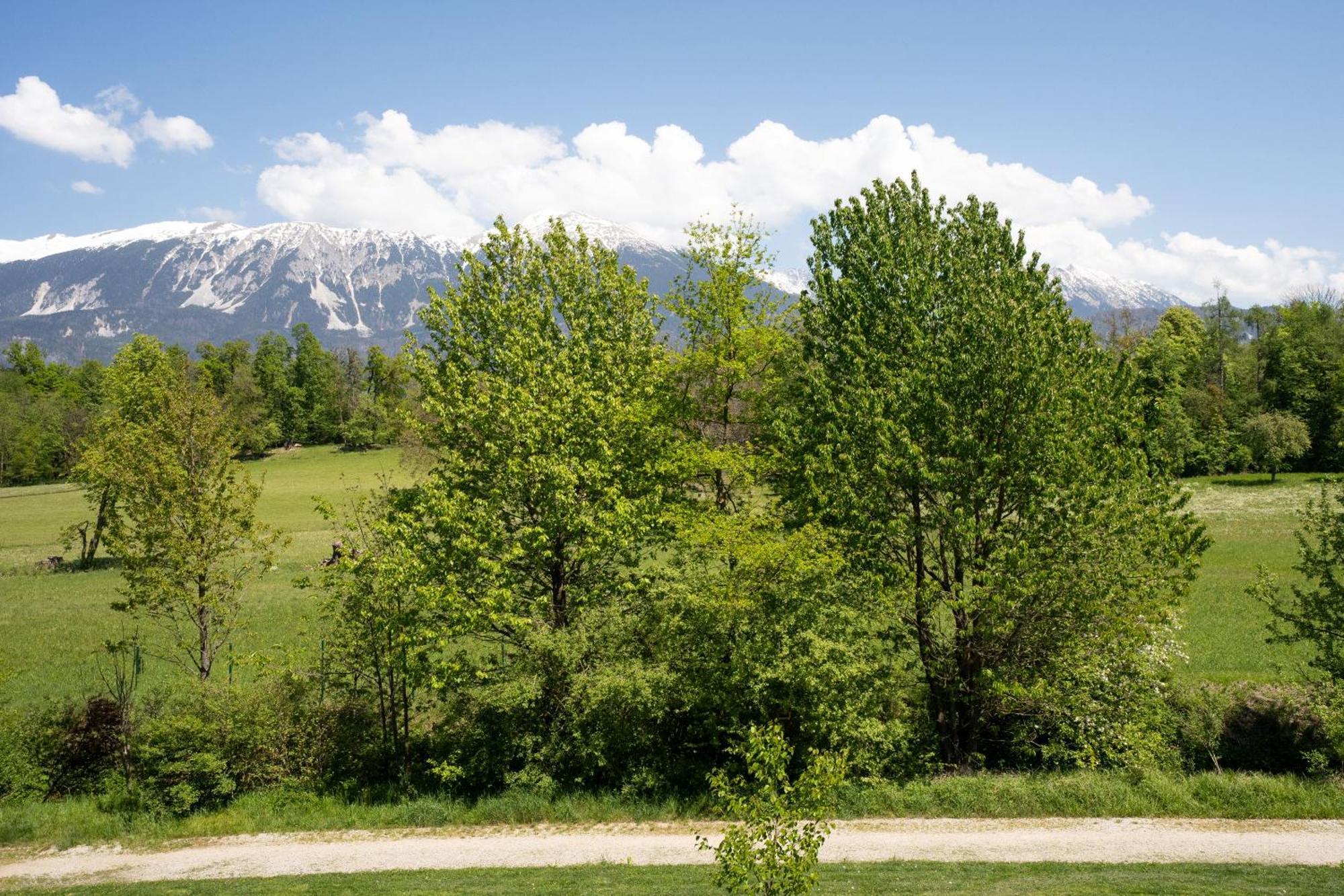 Mountain Suite Jula Bled Exterior photo